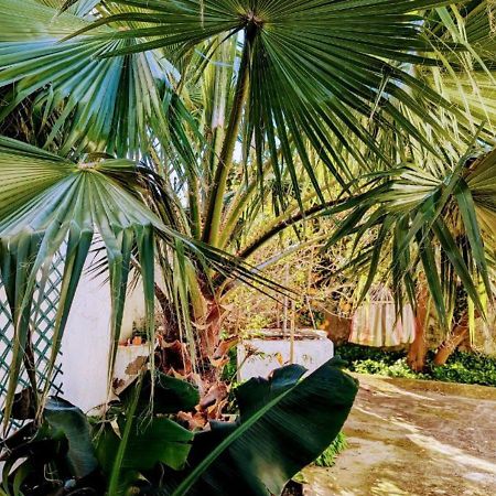 Cozy 3 Bedroom Home - Close To Beach 劳林哈 外观 照片