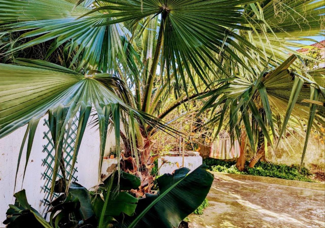 Cozy 3 Bedroom Home - Close To Beach 劳林哈 外观 照片