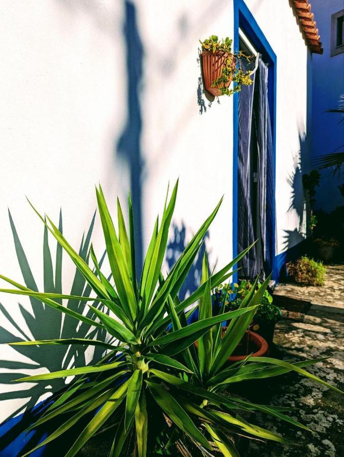 Cozy 3 Bedroom Home - Close To Beach 劳林哈 外观 照片